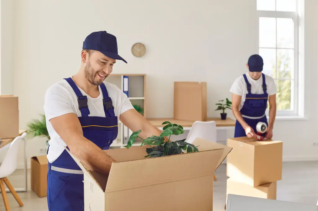 خدمات حکیم بار